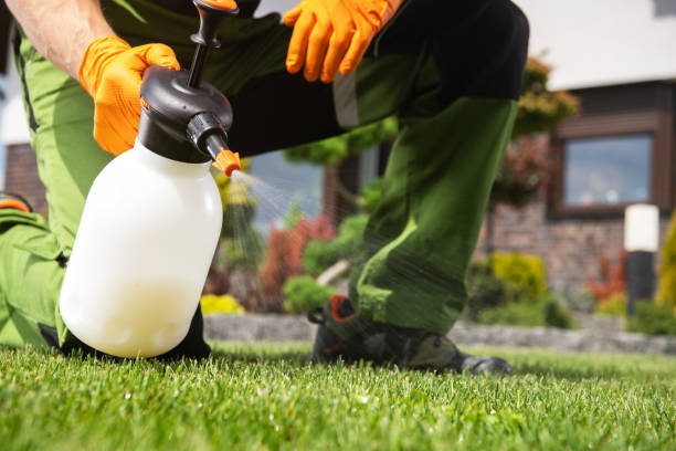 Best Best Pest Control Companies  in Springfield, NE