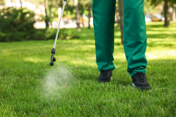 Best Pest Control Near Me  in Springfield, NE