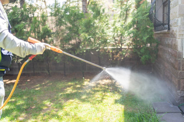 Professional Pest Control in Springfield, NE