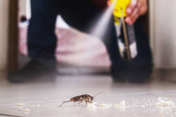 Best Pest Prevention Services  in Springfield, NE